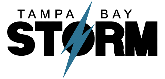 Tampa Bay Storm 1991-1996 Primary Logo t shirt iron on transfers